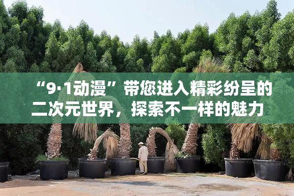 “9·1动漫”带您进入精彩纷呈的二次元世界，探索不一样的魅力