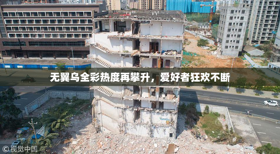 无翼乌全彩热度再攀升，爱好者狂欢不断
