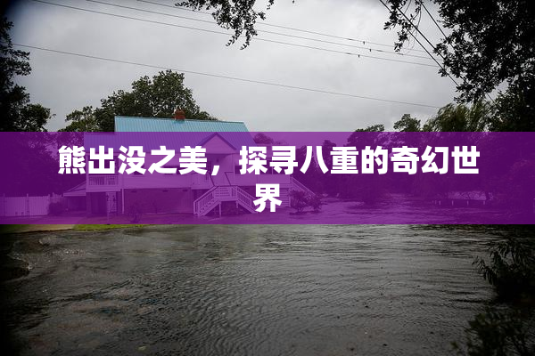 熊出没之美，探寻八重的奇幻世界