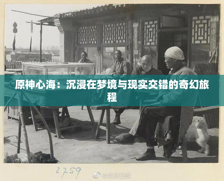 原神心海：沉浸在梦境与现实交错的奇幻旅程