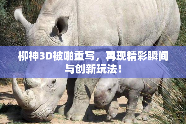 柳神3D被啪重写，再现精彩瞬间与创新玩法！