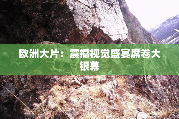 欧洲大片：震撼视觉盛宴席卷大银幕