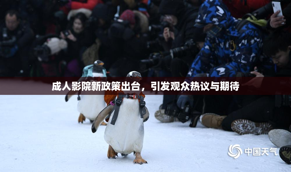 成人影院新政策出台，引发观众热议与期待