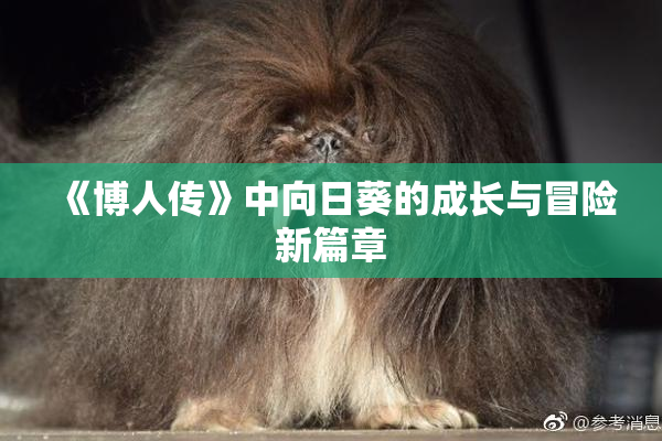 《博人传》中向日葵的成长与冒险新篇章