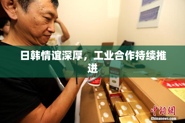 日韩情谊深厚，工业合作持续推进