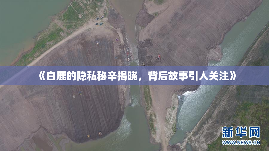 《白鹿的隐私秘辛揭晓，背后故事引人关注》