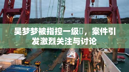 吴梦梦被指控一级婬，案件引发激烈关注与讨论