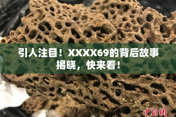 引人注目！XXXX69的背后故事揭晓，快来看！