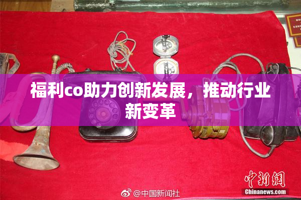 福利co助力创新发展，推动行业新变革