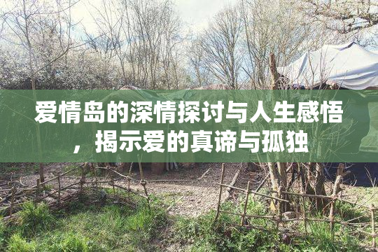爱情岛的深情探讨与人生感悟，揭示爱的真谛与孤独