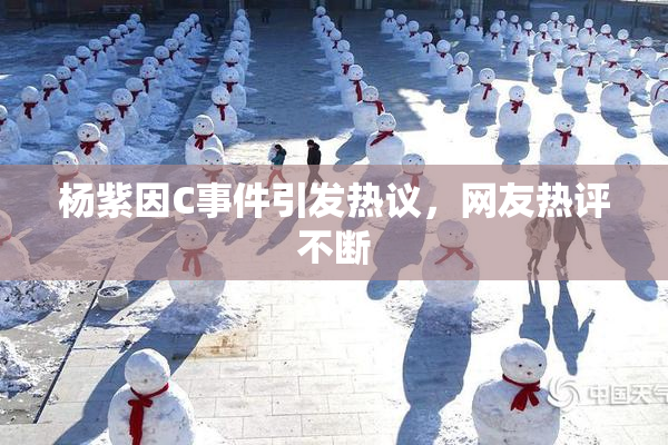 杨紫因C事件引发热议，网友热评不断
