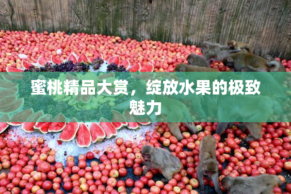 蜜桃精品大赏，绽放水果的极致魅力