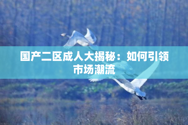 国产二区成人大揭秘：如何引领市场潮流