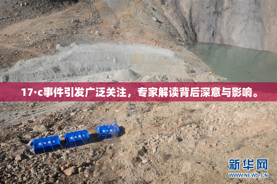 17·c事件引发广泛关注，专家解读背后深意与影响。