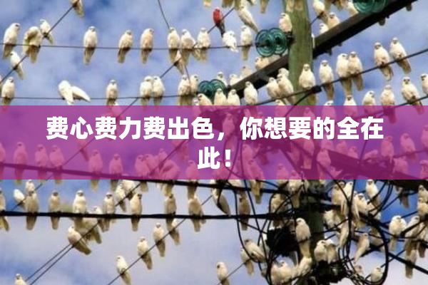 费心费力费出色，你想要的全在此！
