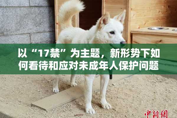 以“17禁”为主题，新形势下如何看待和应对未成年人保护问题？