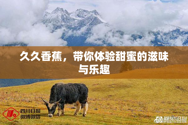 久久香蕉，带你体验甜蜜的滋味与乐趣