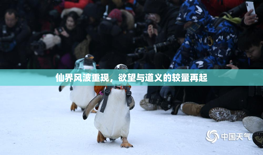 仙界风波重现，欲望与道义的较量再起
