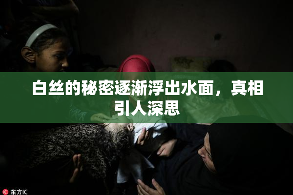 白丝的秘密逐渐浮出水面，真相引人深思