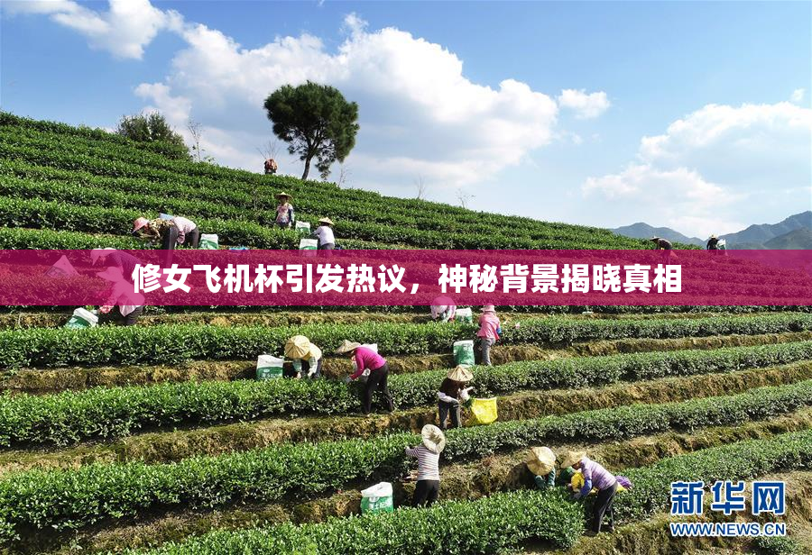 修女飞机杯引发热议，神秘背景揭晓真相