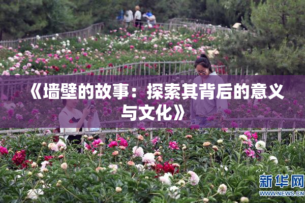 《墙壁的故事：探索其背后的意义与文化》