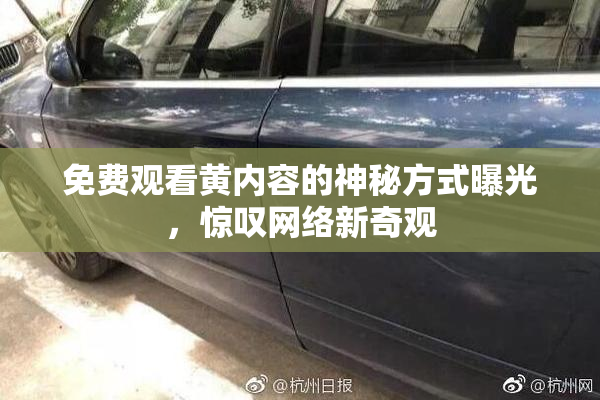 免费观看黄内容的神秘方式曝光，惊叹网络新奇观