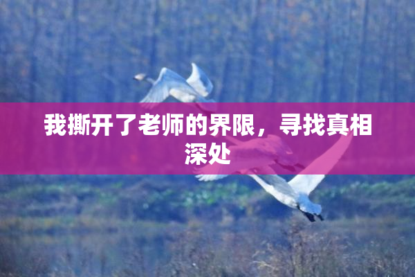 我撕开了老师的界限，寻找真相深处