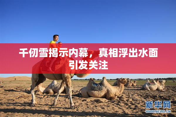 千仞雪揭示内幕，真相浮出水面引发关注