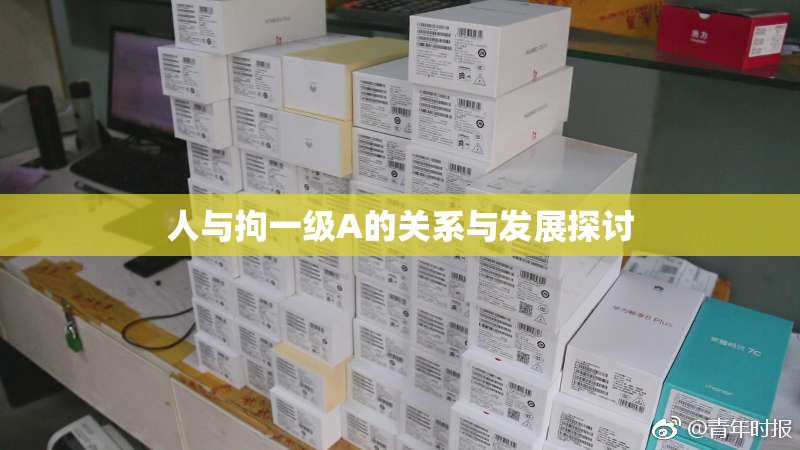 人与拘一级A的关系与发展探讨