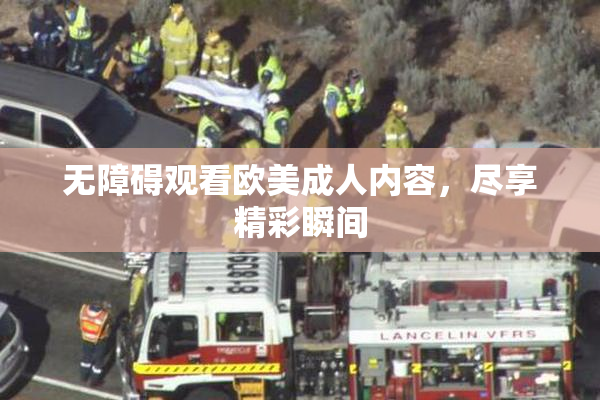 无障碍观看欧美成人内容，尽享精彩瞬间