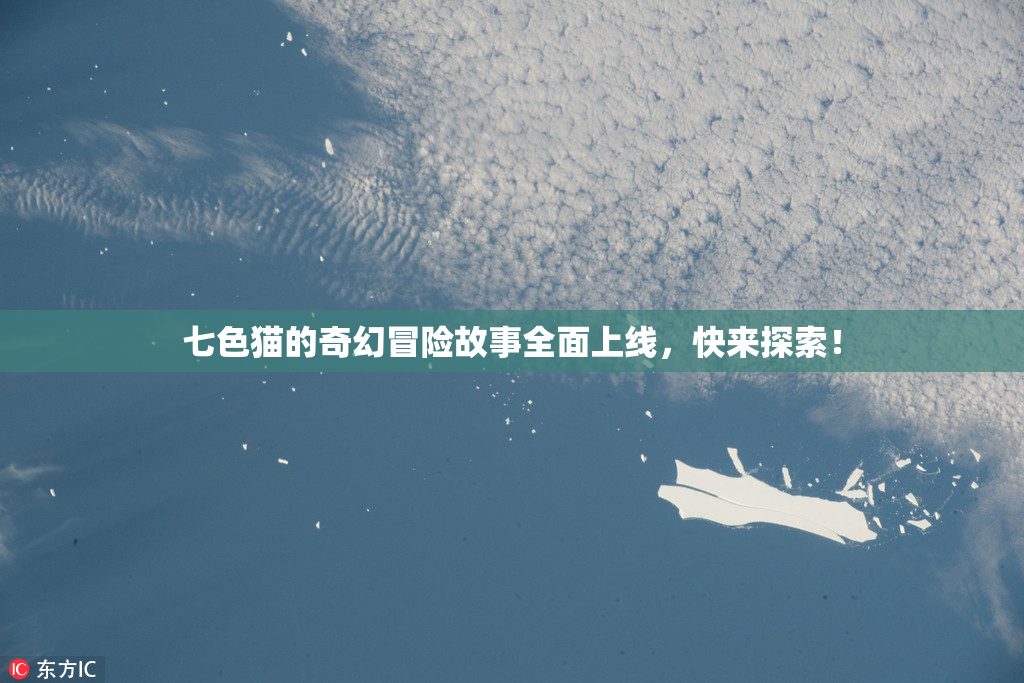 七色猫的奇幻冒险故事全面上线，快来探索！