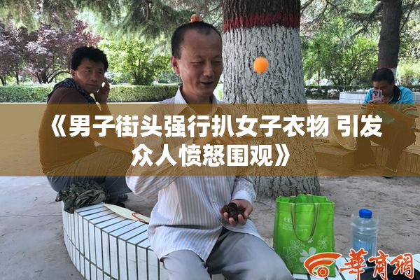 《男子街头强行扒女子衣物 引发众人愤怒围观》