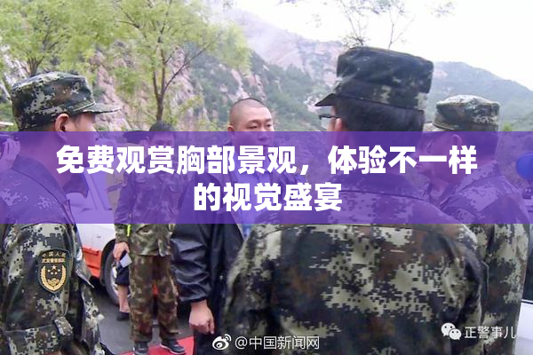 免费观赏胸部景观，体验不一样的视觉盛宴