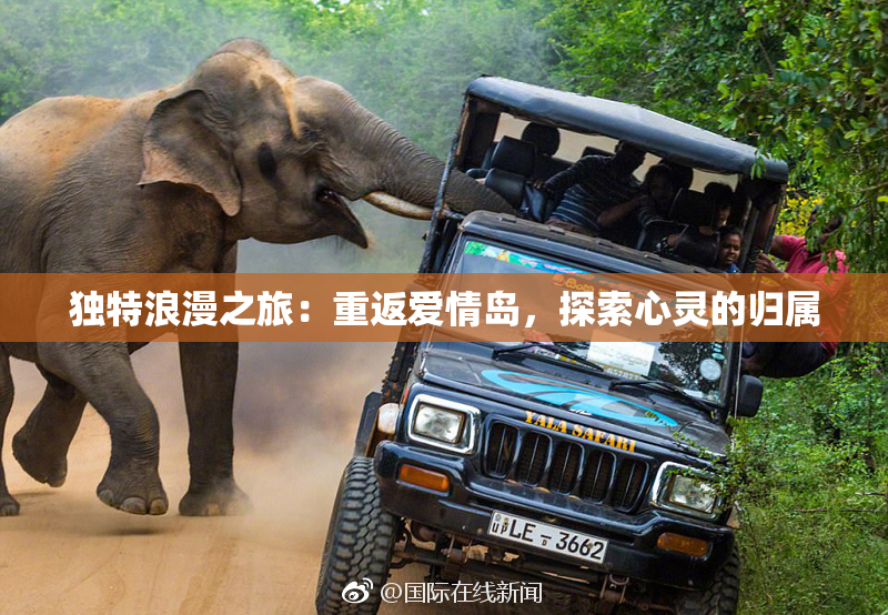 独特浪漫之旅：重返爱情岛，探索心灵的归属