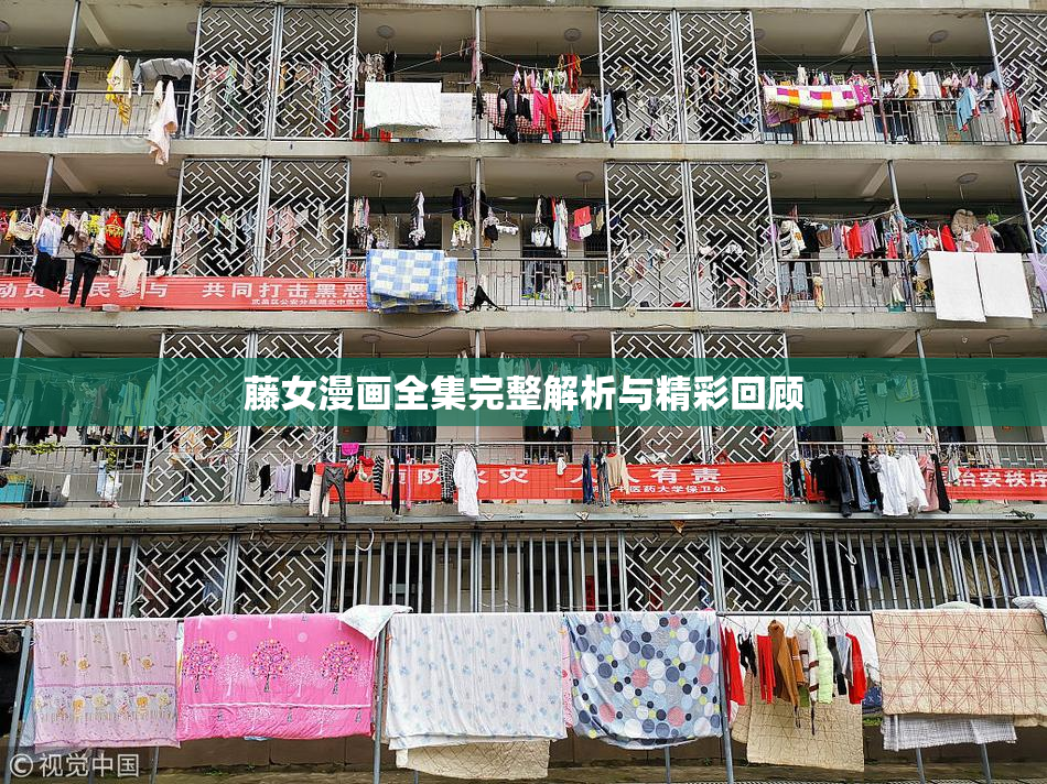 藤女漫画全集完整解析与精彩回顾