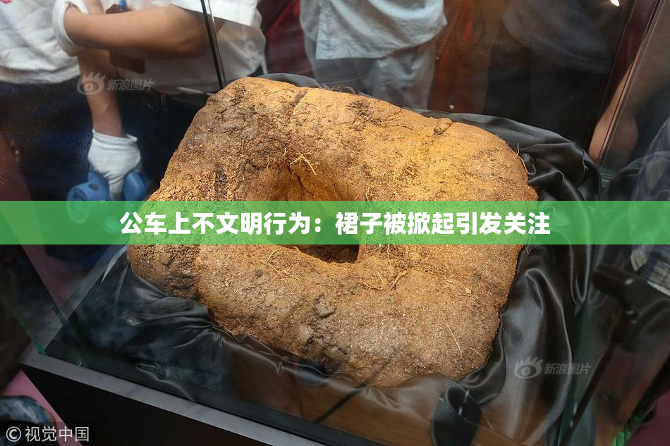 公车上不文明行为：裙子被掀起引发关注