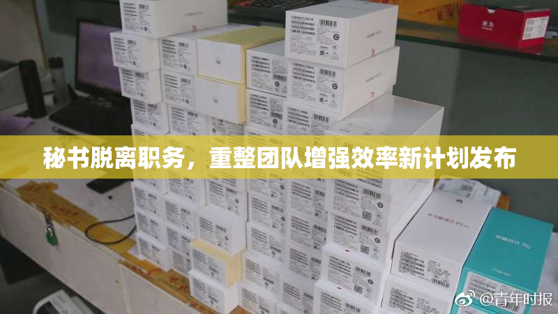 秘书脱离职务，重整团队增强效率新计划发布
