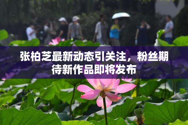 张柏芝最新动态引关注，粉丝期待新作品即将发布