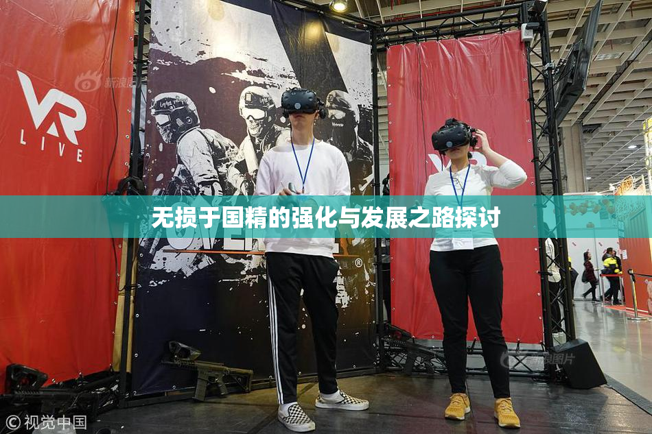 无损于国精的强化与发展之路探讨