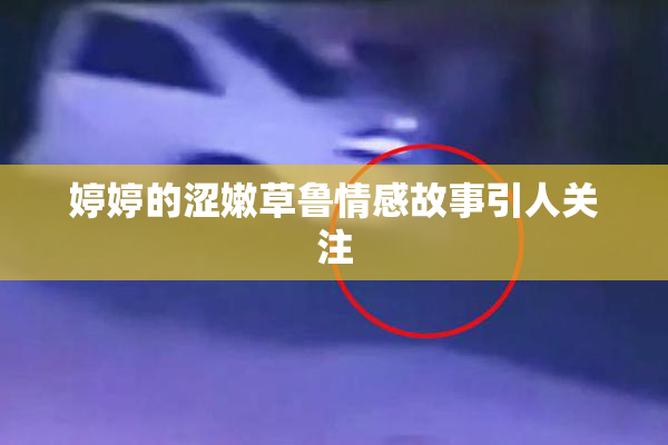 婷婷的涩嫩草鲁情感故事引人关注