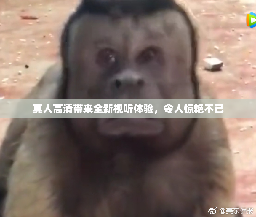 真人高清带来全新视听体验，令人惊艳不已