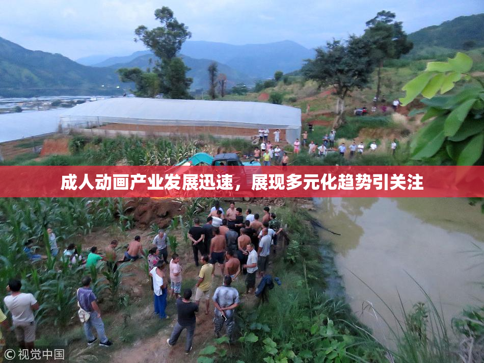 成人动画产业发展迅速，展现多元化趋势引关注