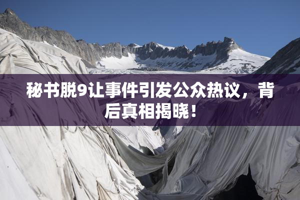 秘书脱9让事件引发公众热议，背后真相揭晓！