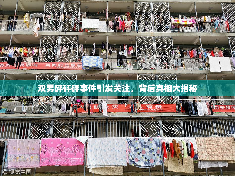 双男砰砰砰事件引发关注，背后真相大揭秘