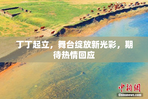 丁丁起立，舞台绽放新光彩，期待热情回应