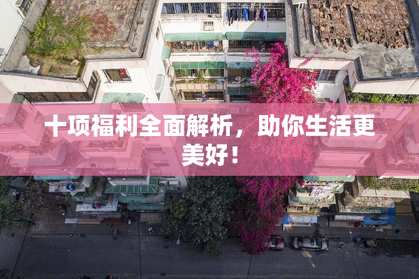 十项福利全面解析，助你生活更美好！