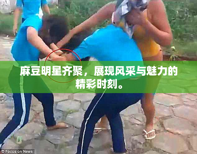 麻豆明星齐聚，展现风采与魅力的精彩时刻。