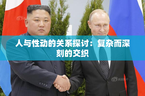 人与性动的关系探讨：复杂而深刻的交织