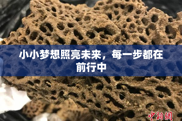 小小梦想照亮未来，每一步都在前行中
