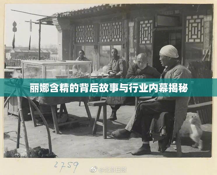丽娜含精的背后故事与行业内幕揭秘